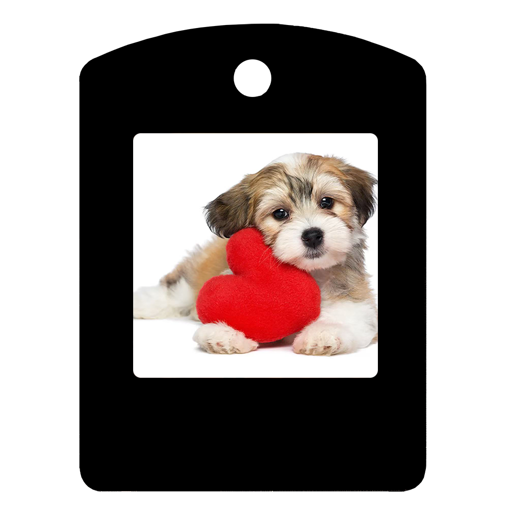 1.54-inch Four-color Electronic Paper Ink Screen Advanced Pet Pendant Tag Portable Photo Frame NFC Dynamic Display