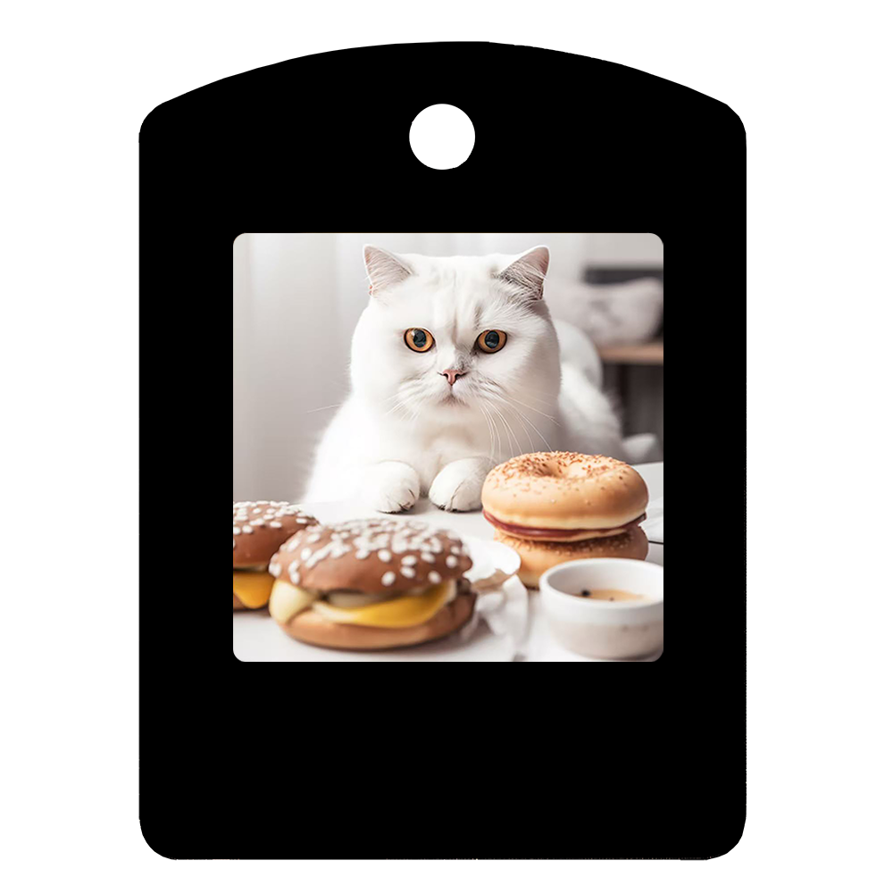 1.54-inch Pet Small Hangtag NFC Ink Screen Smart E-paper Pendant High-end Accessories Factory Direct Sales