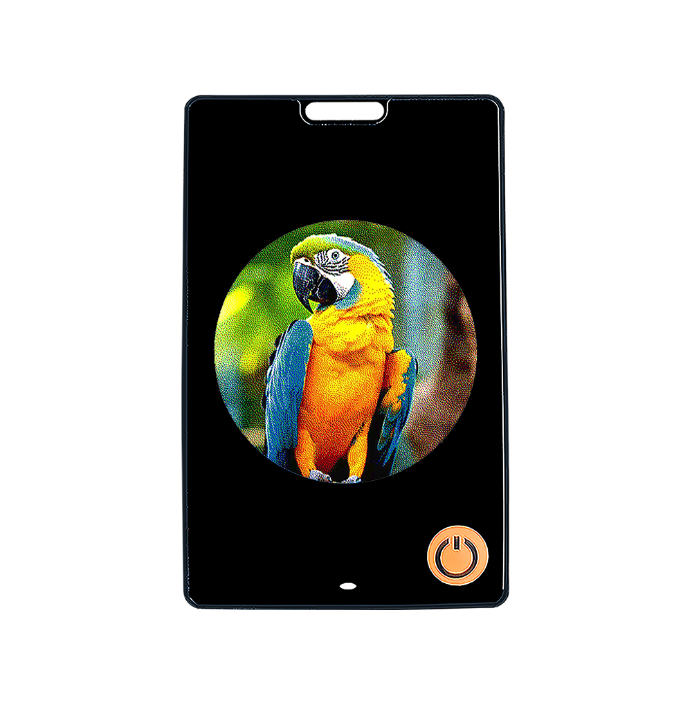 1.69-inch Six-color E-Ink Screen E-paper Luggage Anti-lost Device Pet Tracker Changeable Pattern HD E-paper Photo Frame