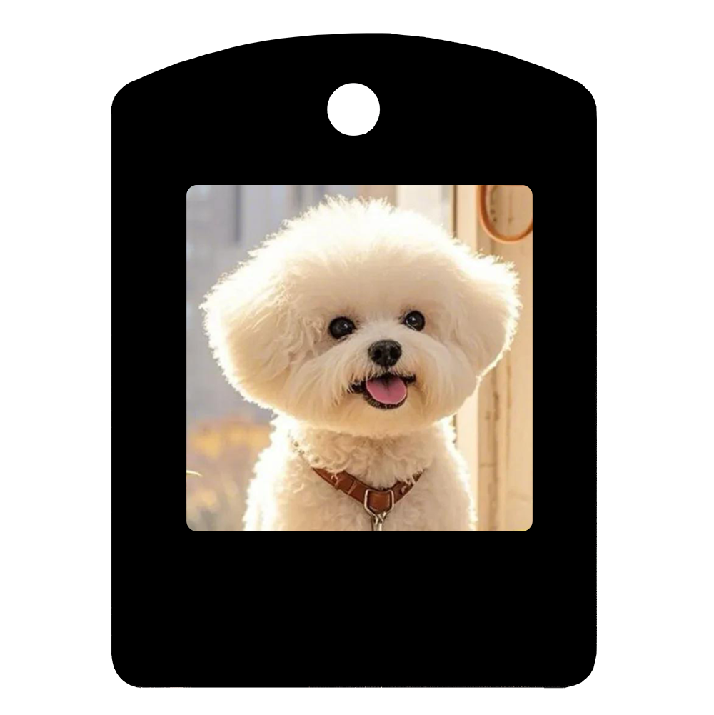1.54-inch Four-color Electronic Ink Screen Photo Frame NFC Electronic Paper Keychain Pet Changeable Mobile Photo Frame