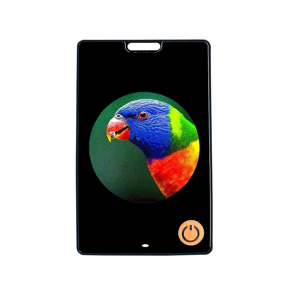 Six-color ESL Changeable Pattern E-Ink Screen Luggage Anti-lost Device Pet E-paper Photo Frame NFC & Bluetooth