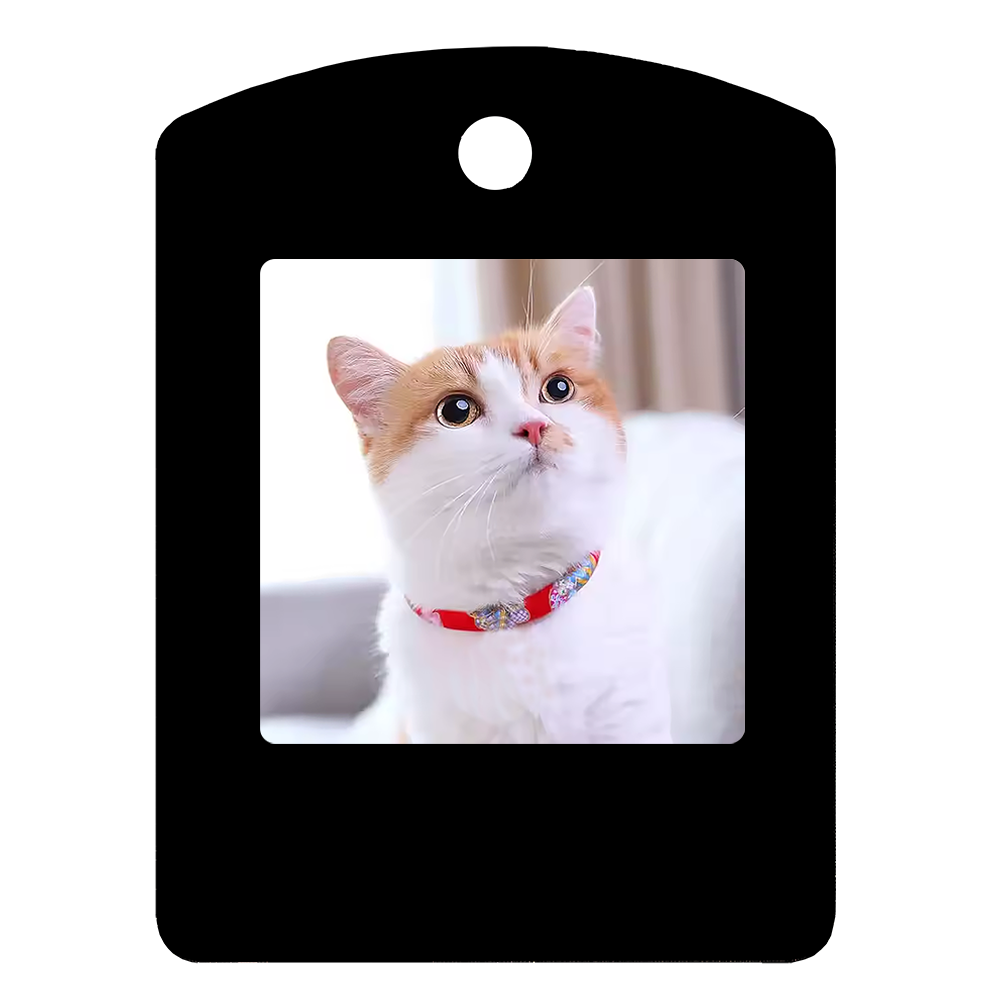 1.54-inch 4-color E-paper Pendant with Changeable Patterns and NFC Removable E-ink Screen Mini Photo Frame