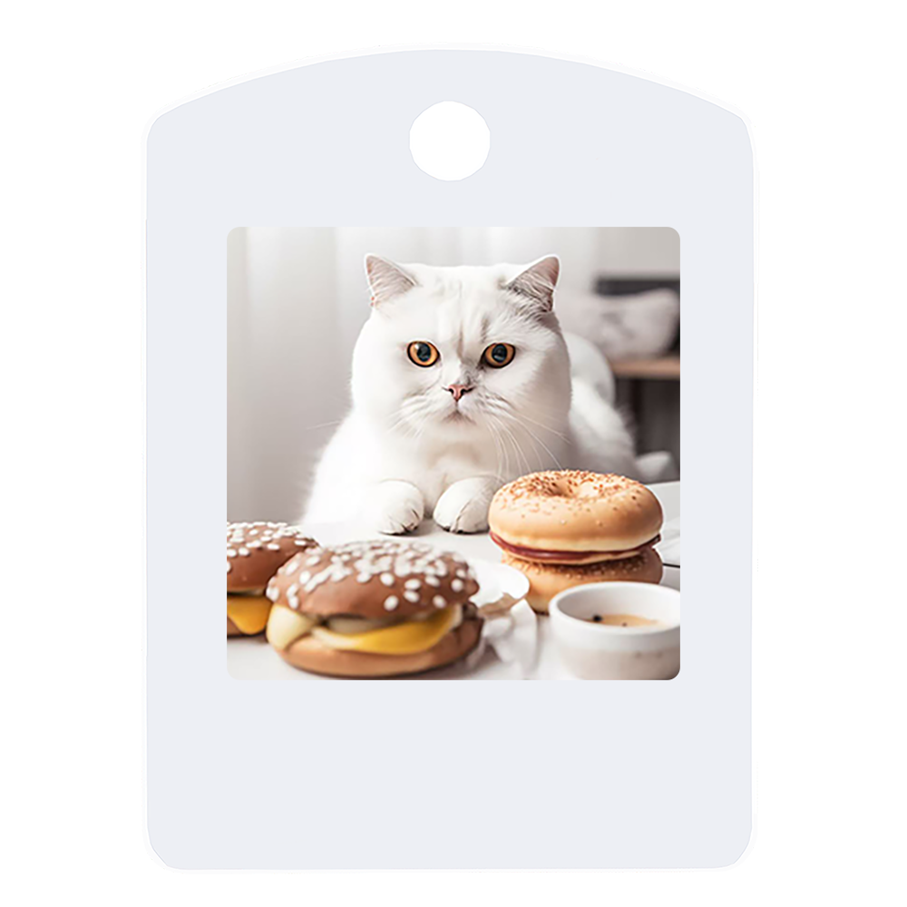 1.54-inch Pet Small Hangtag NFC Ink Screen Smart E-paper Pendant High-end Accessories Factory Direct Sales