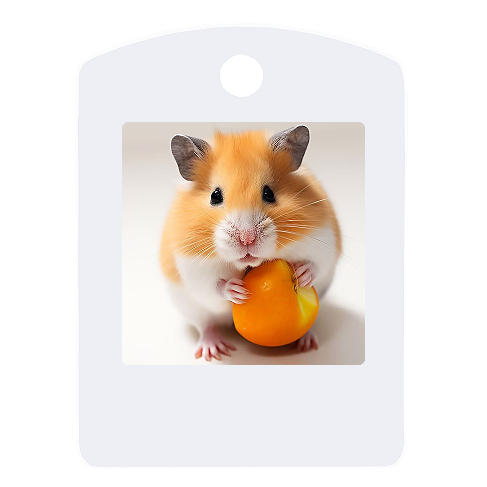 1.54-inch Pet Mobile Photo Frame 4-color Ink Screen Electronic NFC No Need to Charge Dynamic Display Dog Collar