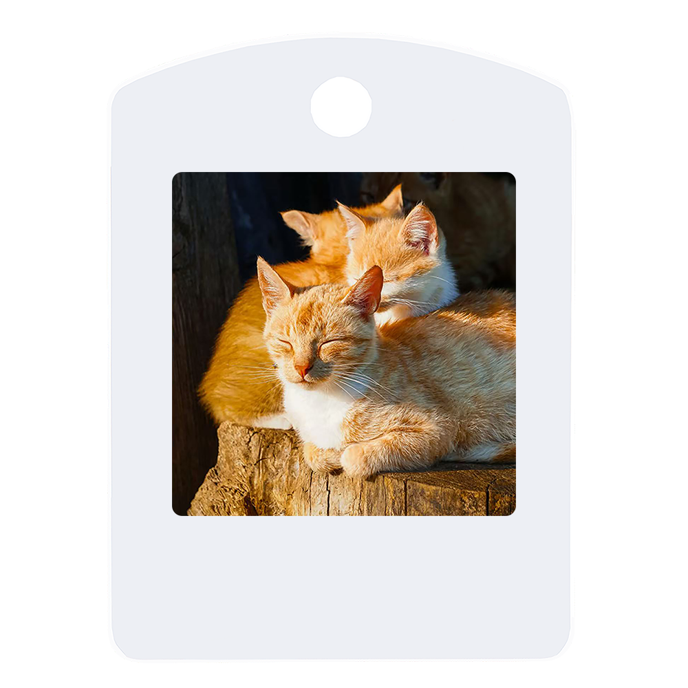1.54-inch Pet Portable Photo Frame 4-color Ink Screen Electronic NFC Fast Transmission Without Power Dynamic Display