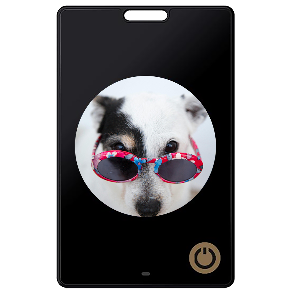 E6 Six-color HD E Paper Keychain with Bluetooth & NFC E Ink Screen Anti-lost Luggage and Pet Smart tracker Factory Direct