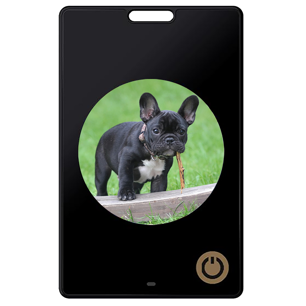 1.69-inch High-definition Six-color Electronic Ink Screen Anti-lost Device to Prevent Children and the Elderly From Getting Lost