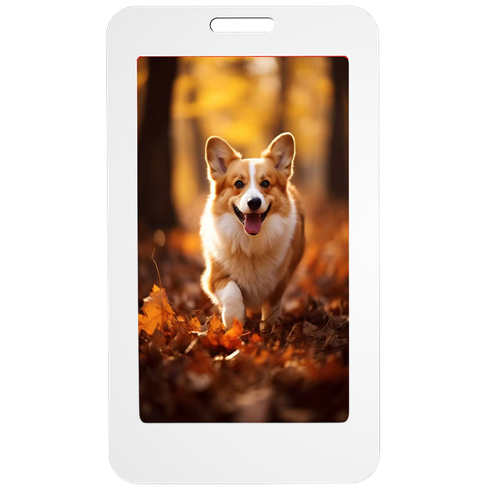 NFC High-resolution Four-color Ink Screen Electronic Work Card Intelligent Ai Advanced Technology Access Control Card