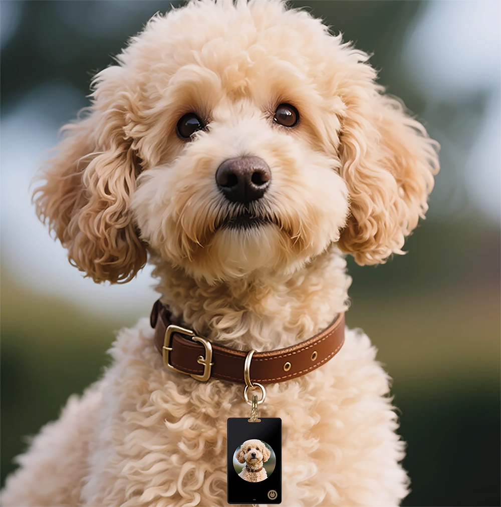 1.69-inch Six-color E-Ink Screen E-paper Luggage Anti-lost Device Pet Tracker Changeable Pattern HD E-paper Photo Frame