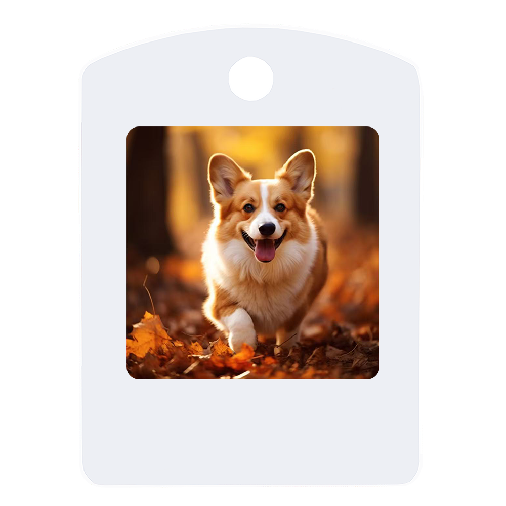 1.54 Inch Mini E-Ink Keychain Portable Information Display NFC Function Added E-paper Solution Factory Direct