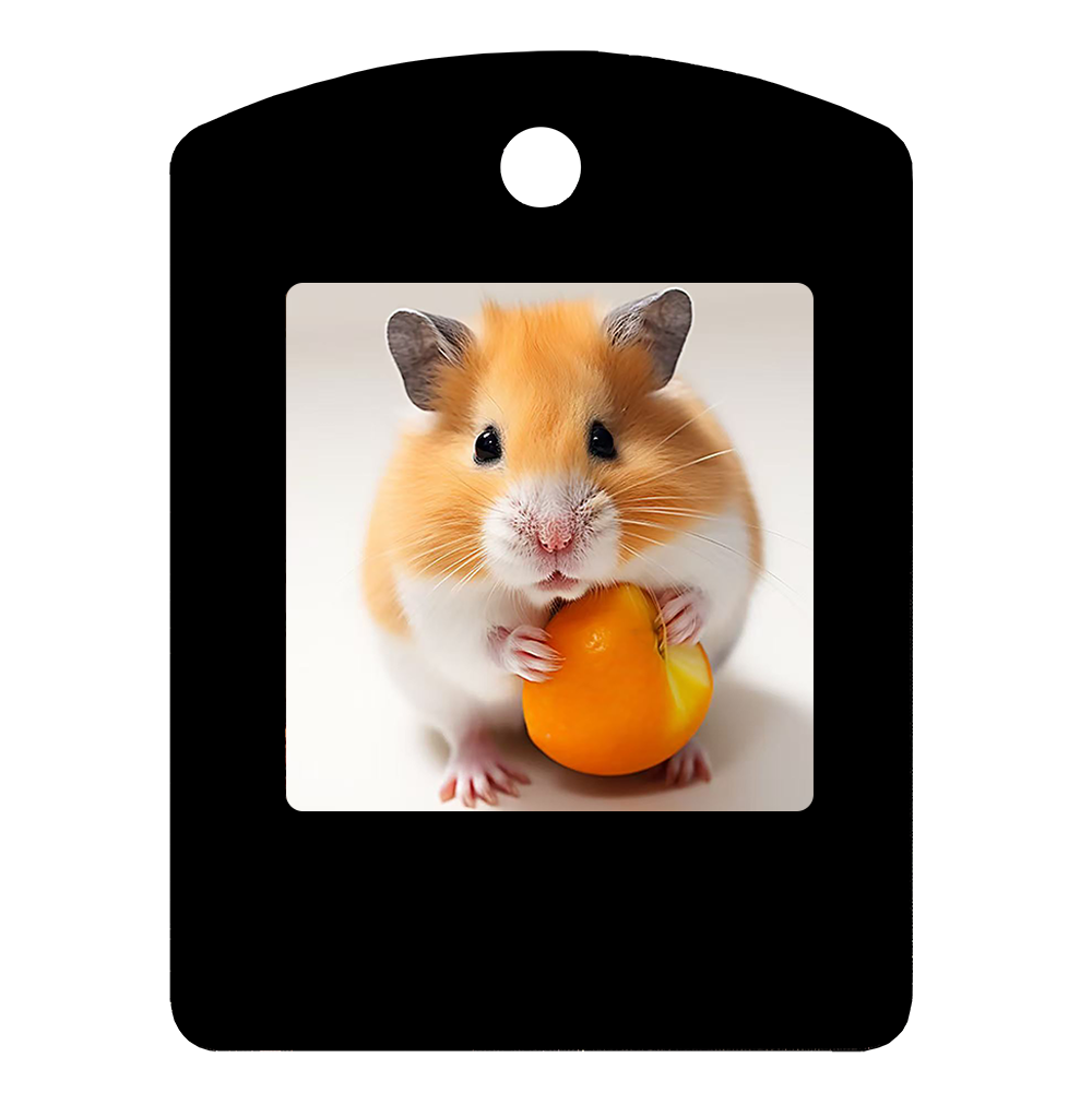 1.54-inch Pet Small Hangtag NFC Ink Screen Smart E-paper Pendant High-end Accessories Factory Direct Sales
