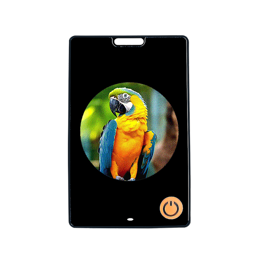 1.69-inch Six-color E-Ink Screen E-paper Luggage Anti-lost Device Pet Tracker Changeable Pattern HD E-paper Photo Frame