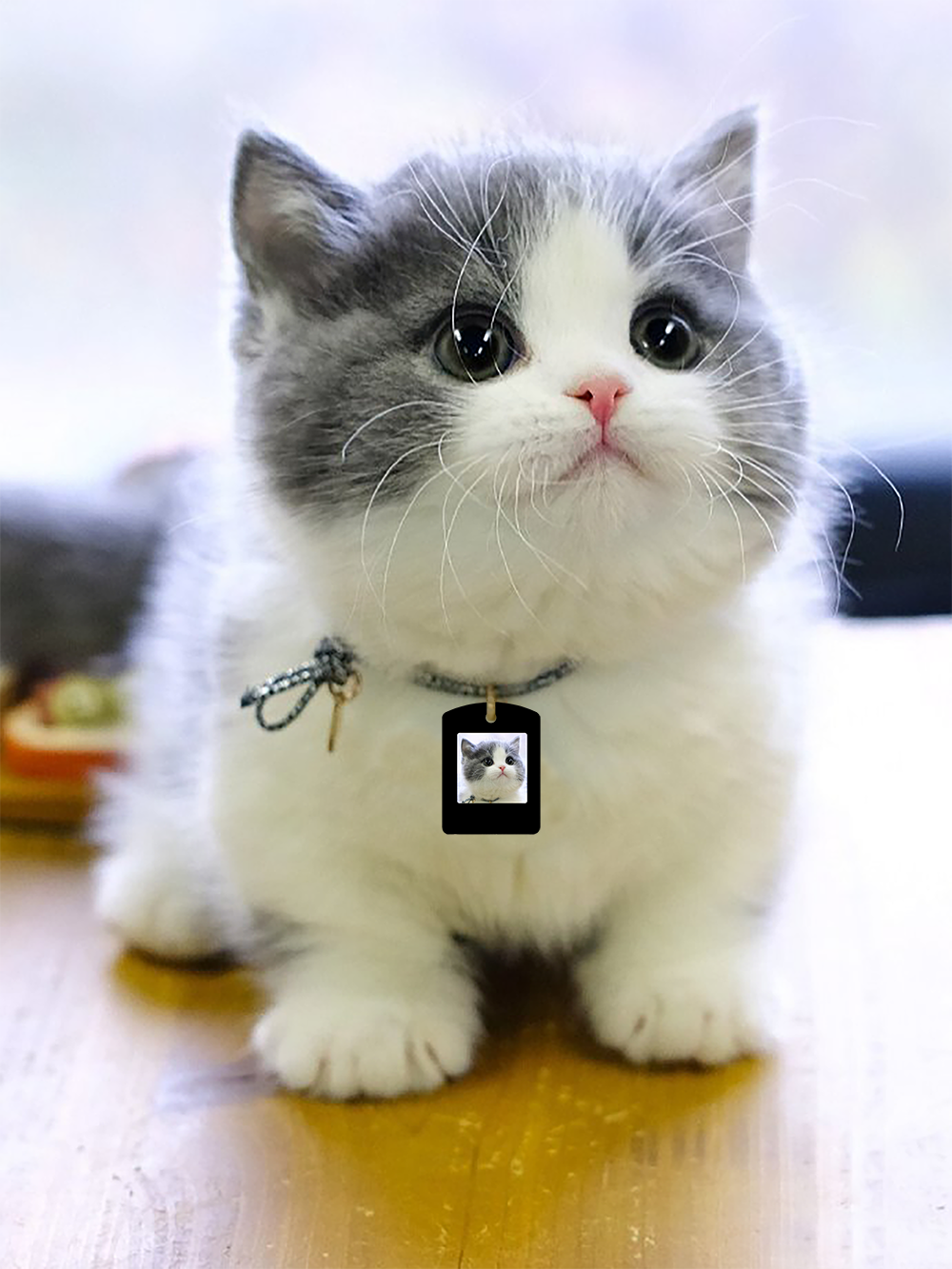 HD Four Color E-Ink Tracker Anti-lost Custom Pet ID Tag Smart Tag Cat and Dog Tracker Air Tag Tracker Unlimited