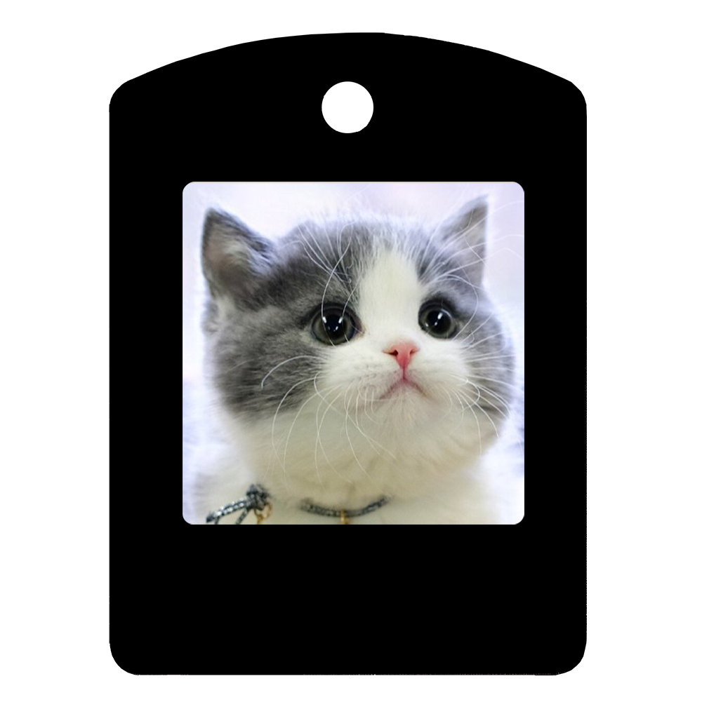 HD Four Color E-Ink Tracker Anti-lost Custom Pet ID Tag Smart Tag Cat and Dog Tracker Air Tag Tracker Unlimited