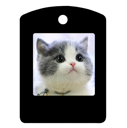 1.54-inch Pet Portable Photo Frame 4-color Ink Screen Electronic NFC Fast Transmission Without Power Dynamic Display