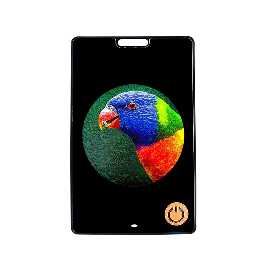 Six-color ESL Changeable Pattern E-Ink Screen Luggage Anti-lost Device Pet E-paper Photo Frame NFC & Bluetooth
