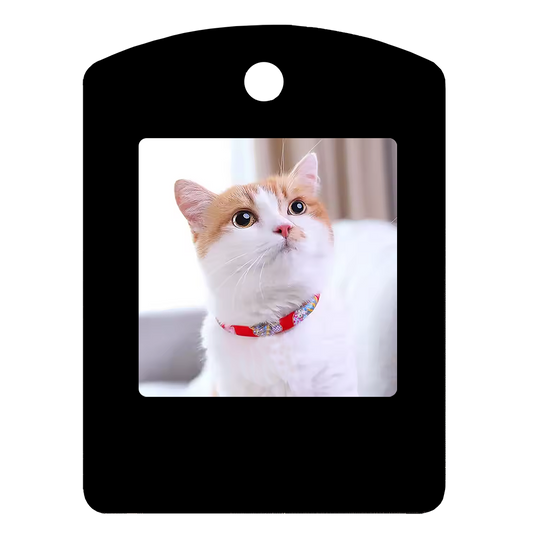 1.54-inch 4-color E-paper Pendant with Changeable Patterns and NFC Removable E-ink Screen Mini Photo Frame