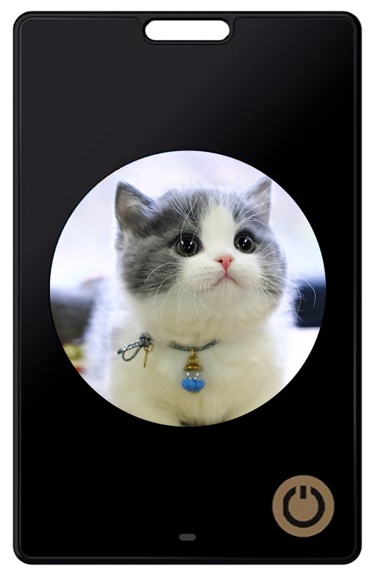 1.69-inch HD Six-color E-Ink Screen Anti-lost Device for Luggage and Pets Smart E-paper Photo Frame with Bluetooth & NFC