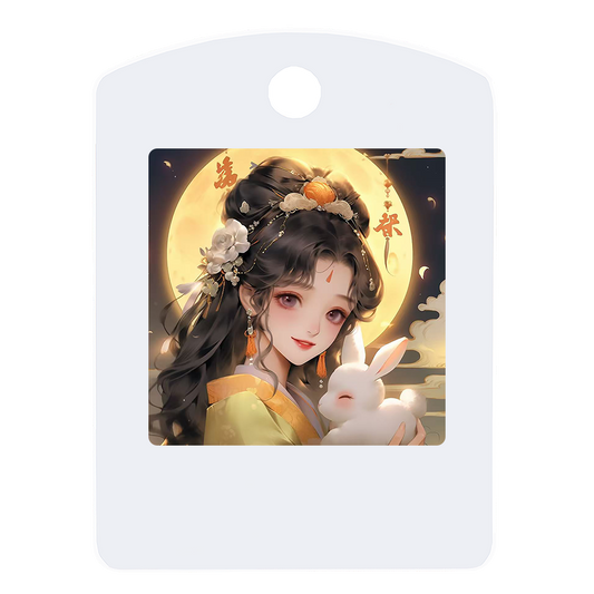 1.54-inch E-ink Display Label Color E-paper NFC Bluetooth Eink Display Electronic Price Tag Electronic Shelf Label Esl Pet Tag