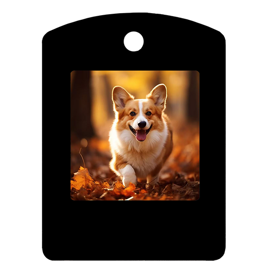 1.54 Inch E-ink Screen Electronic Pet Tag Factory Direct Sales E-paper Exquisite Small Tag Large Quantity and Good Price