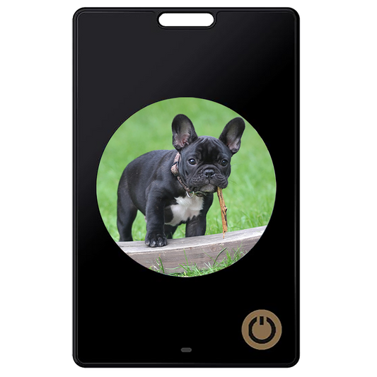1.69-inch High-definition Six-color Electronic Ink Screen Anti-lost Device to Prevent Children and the Elderly From Getting Lost