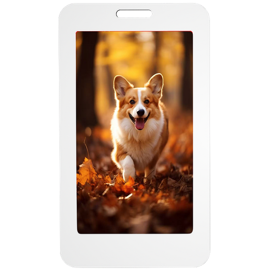NFC High-resolution Four-color Ink Screen Electronic Work Card Intelligent Ai Advanced Technology Access Control Card