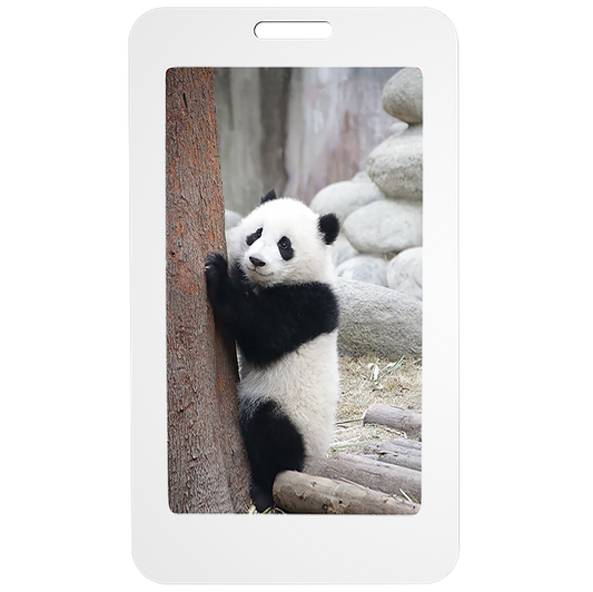 E5 NFC E-Ink Card-13