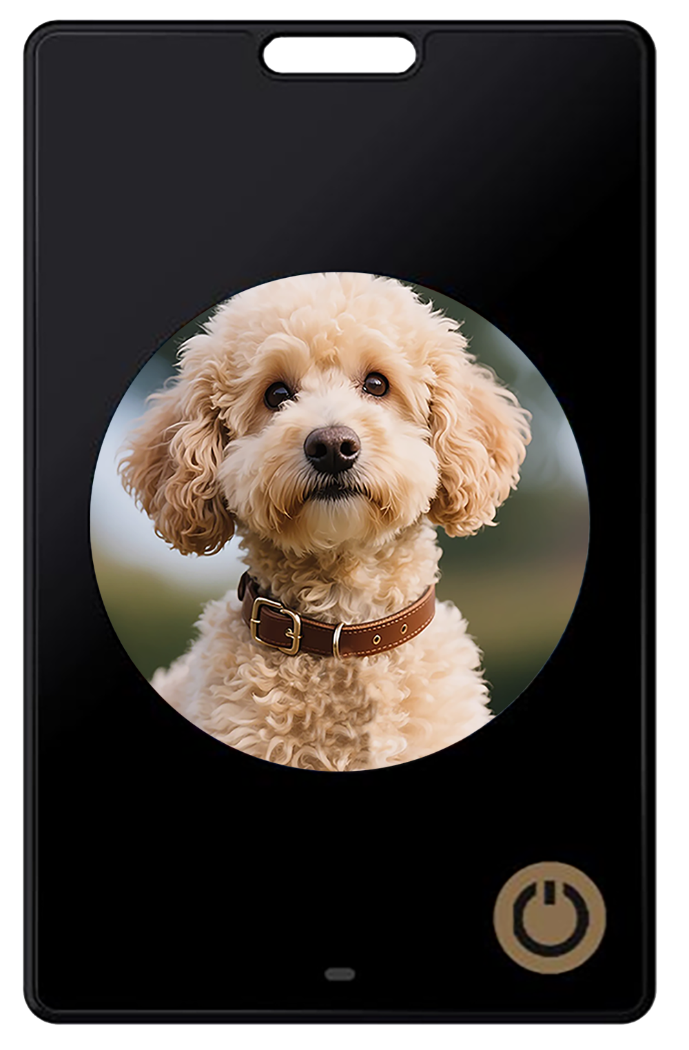 1.69-inch Six-color E-ink Screen Anti-lost Device with a Movable Changeable Profile Picture Frame and High-definition E-paper