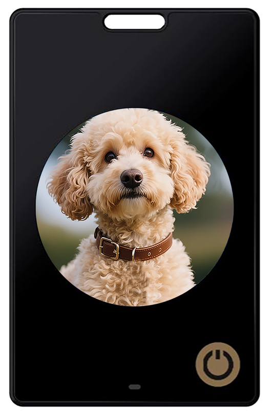 1.69-inch Six-color E-ink Screen Anti-lost Device with a Movable Changeable Profile Picture Frame and High-definition E-paper
