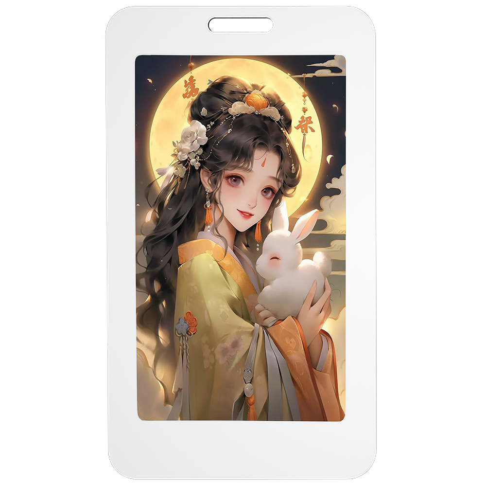 E5 NFC E-Ink Card-17