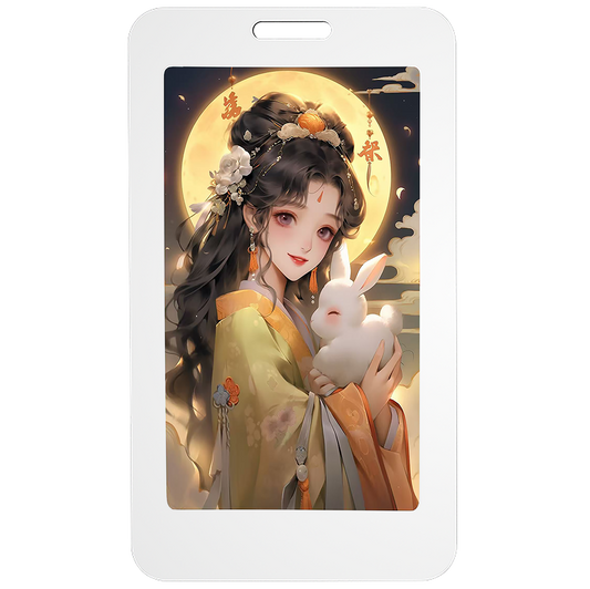 E5 NFC E-Ink Card-17