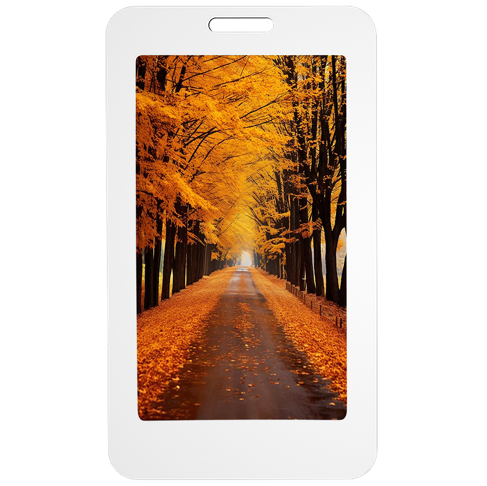 E5 NFC E-Ink Card-21