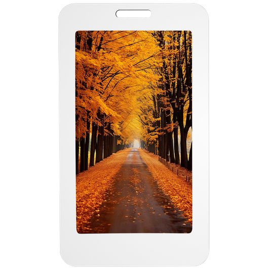 E5 NFC E-Ink Card-21