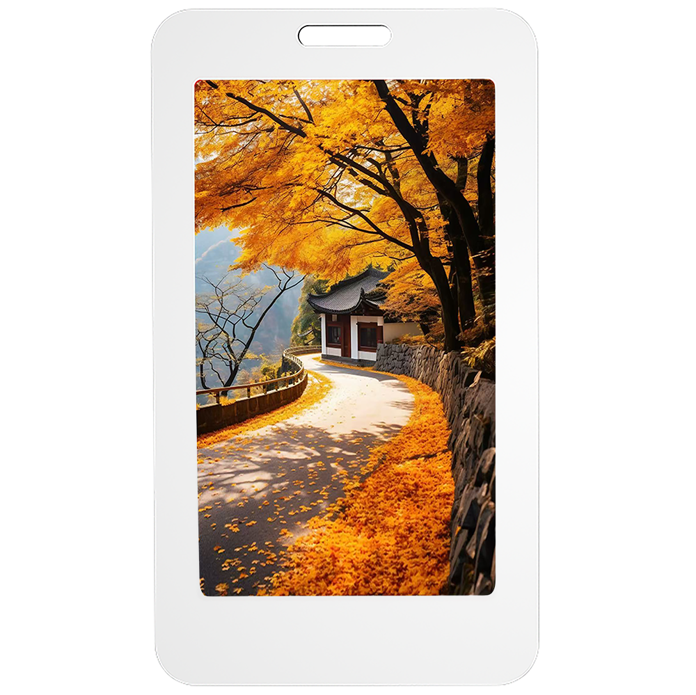 E5 NFC E-Ink Card-22