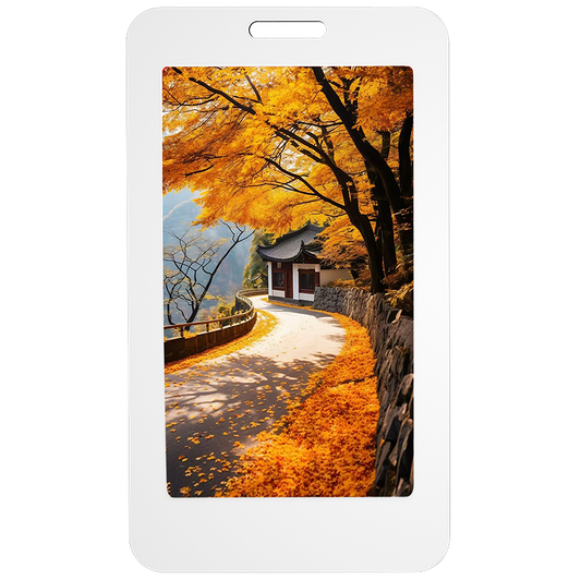 E5 NFC E-Ink Card-22